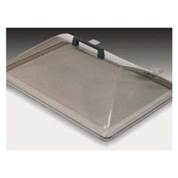 Thermo Fisher Scientific 118108