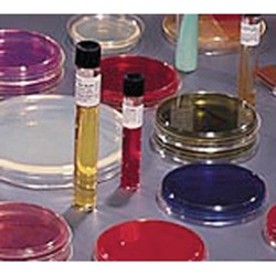 Mycoflask™ 221038