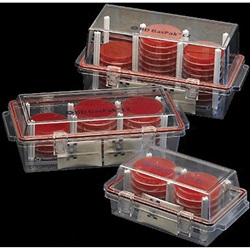 GasPak™ 260001