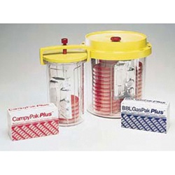 BBL™ GasPak™ 260629
