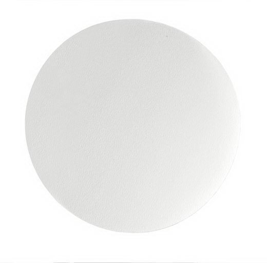 Whatman™ Reeve Angel® 5802-185