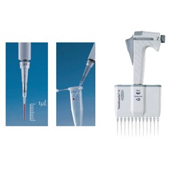 Transferpette® S 704101