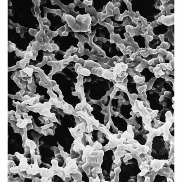 MF-Millipore™ AAWG04700