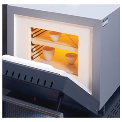 Thermo Fisher Scientific PH479X1