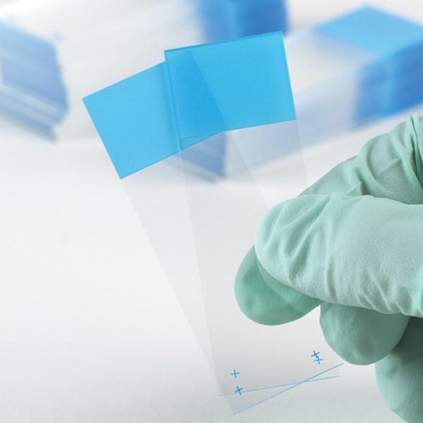 Coated Glass Microscope Slides