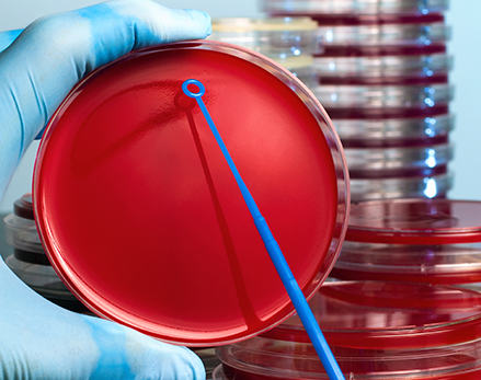 Microbiology Supplies