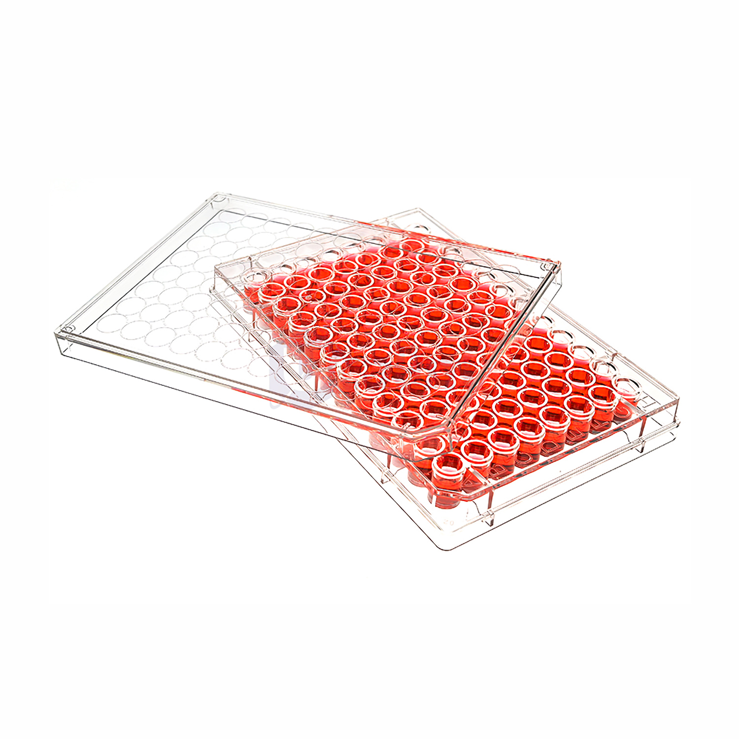 Cell Culture Equipment & Supplies