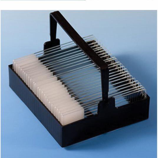 Globe Scientific 513220