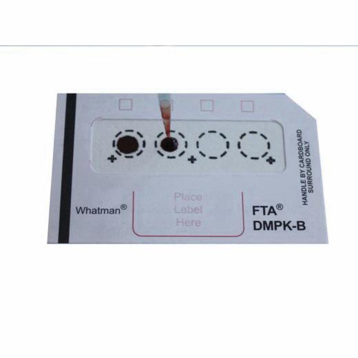 Whatman&trade; WB129241