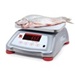 Valor® 4000 30035434