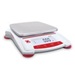 Scout® 30253033